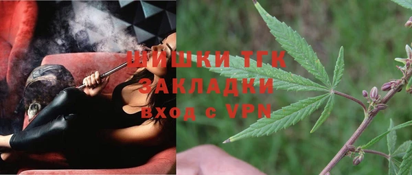 PSILOCYBIN Балахна